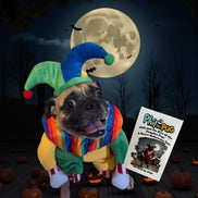 Phil and the Rise of the Vampire Pug: A Halloween Tale - Signed Children's Paperback Book