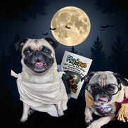 Phil and the Rise of the Vampire Pug: A Halloween Tale - Signed Children's Paperback Book