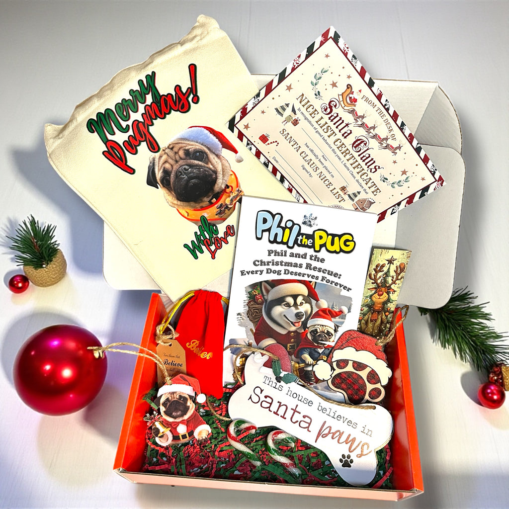 🎁 Phil’s Christmas Rescue – The Believe Gift Box: A Christmas Eve Story