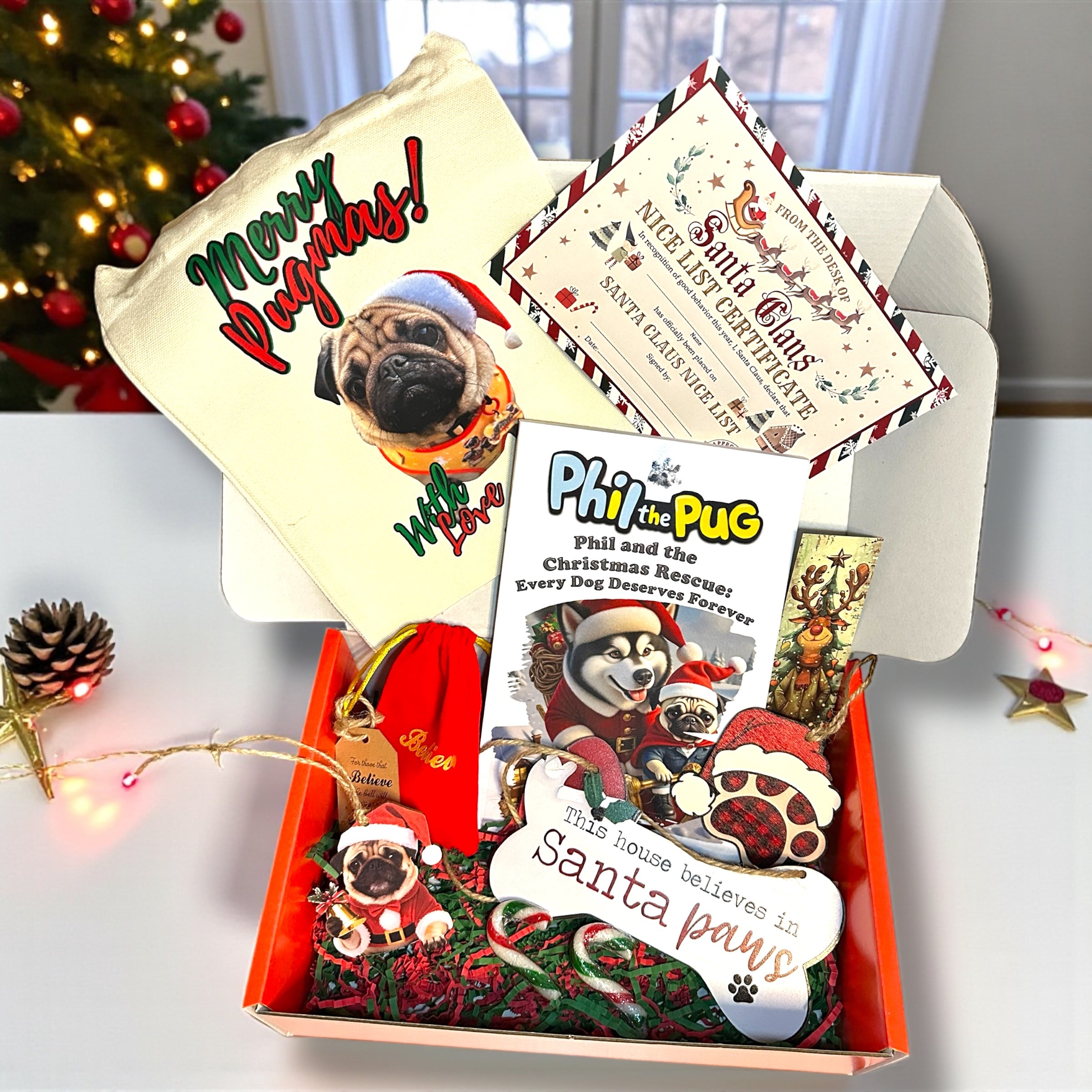 🎁 Phil’s Christmas Rescue – The Believe Gift Box: A Christmas Eve Story
