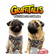 GraffiTales: Phil's Urban Crew Adjustable Harness