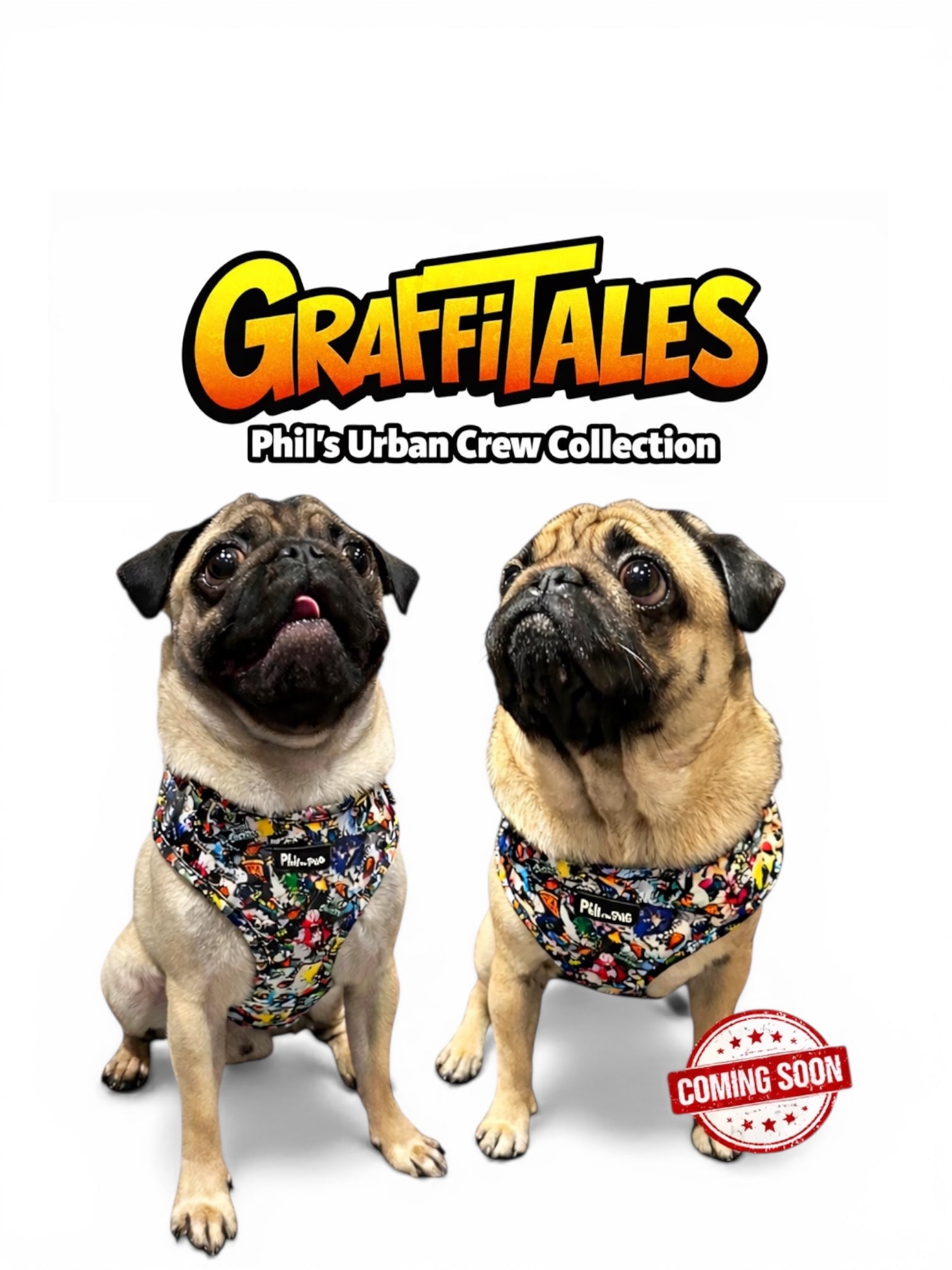 GraffiTales: Phil's Urban Crew Adjustable Harness
