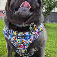 GraffiTales: Phil's Urban Crew Collection