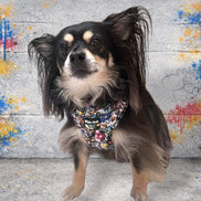 GraffiTales - Phil's Urban Crew Mini Legends Harness Collection