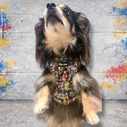GraffiTales: Phil's Urban Crew Collection