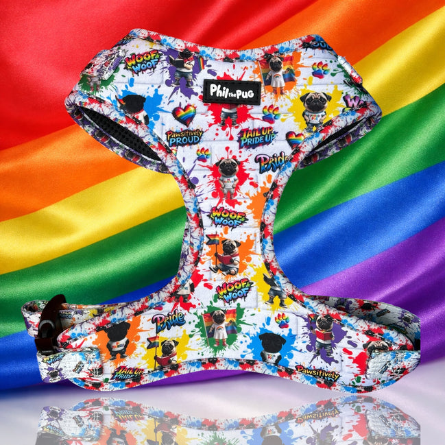 🌈 Phil’s Pride Parade Harness