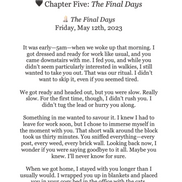 Scrappy: A Soul Dog’s Legacy A Grief Companion for Dog Lovers Paperback