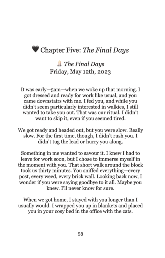 Scrappy: A Soul Dog’s Legacy A Grief Companion for Dog Lovers Paperback