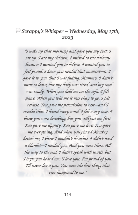 Scrappy: A Soul Dog’s Legacy A Grief Companion for Dog Lovers Paperback