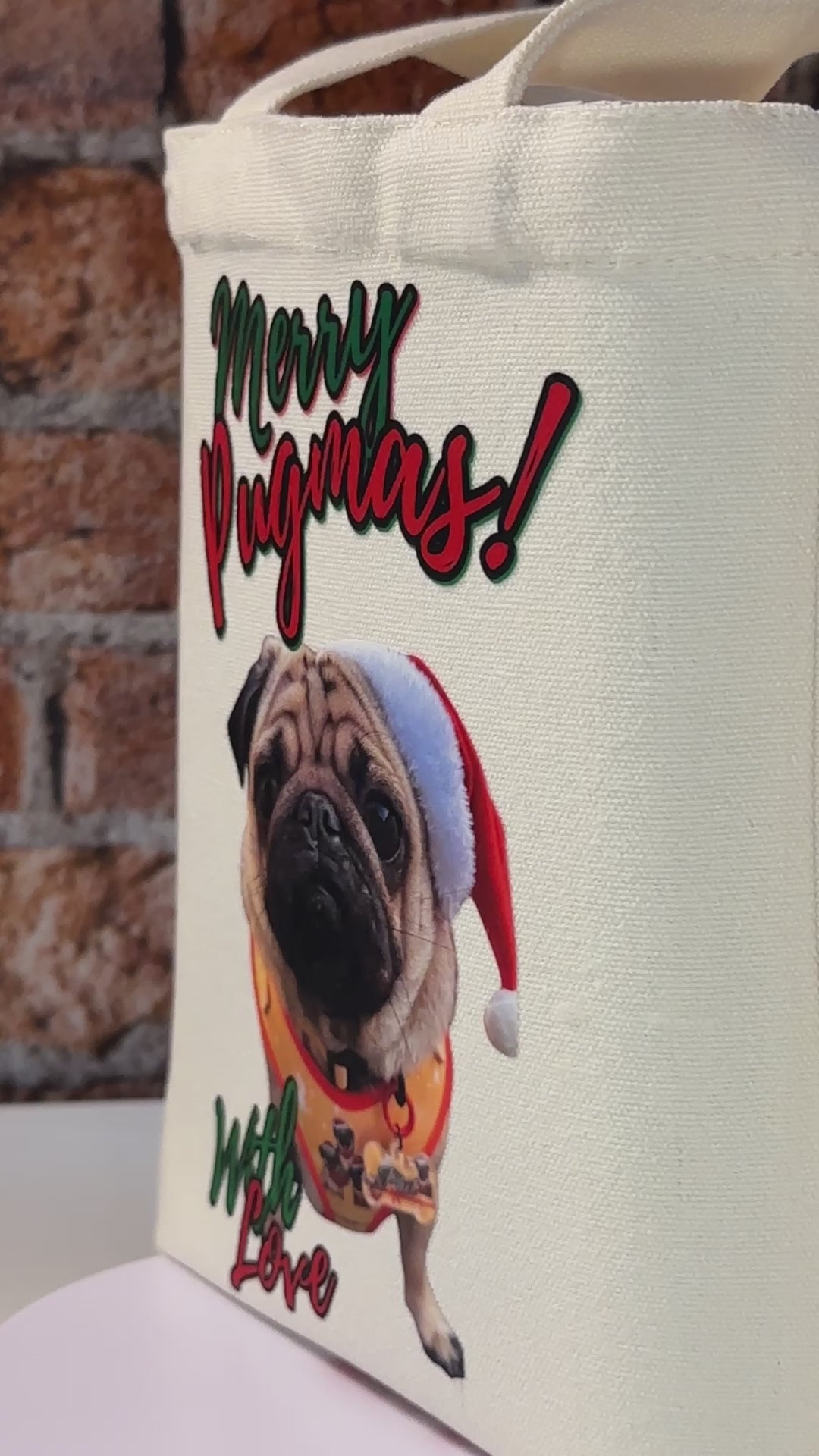 📖 Phil and the Christmas Rescue: Every Dog Deserves Forever + Tote